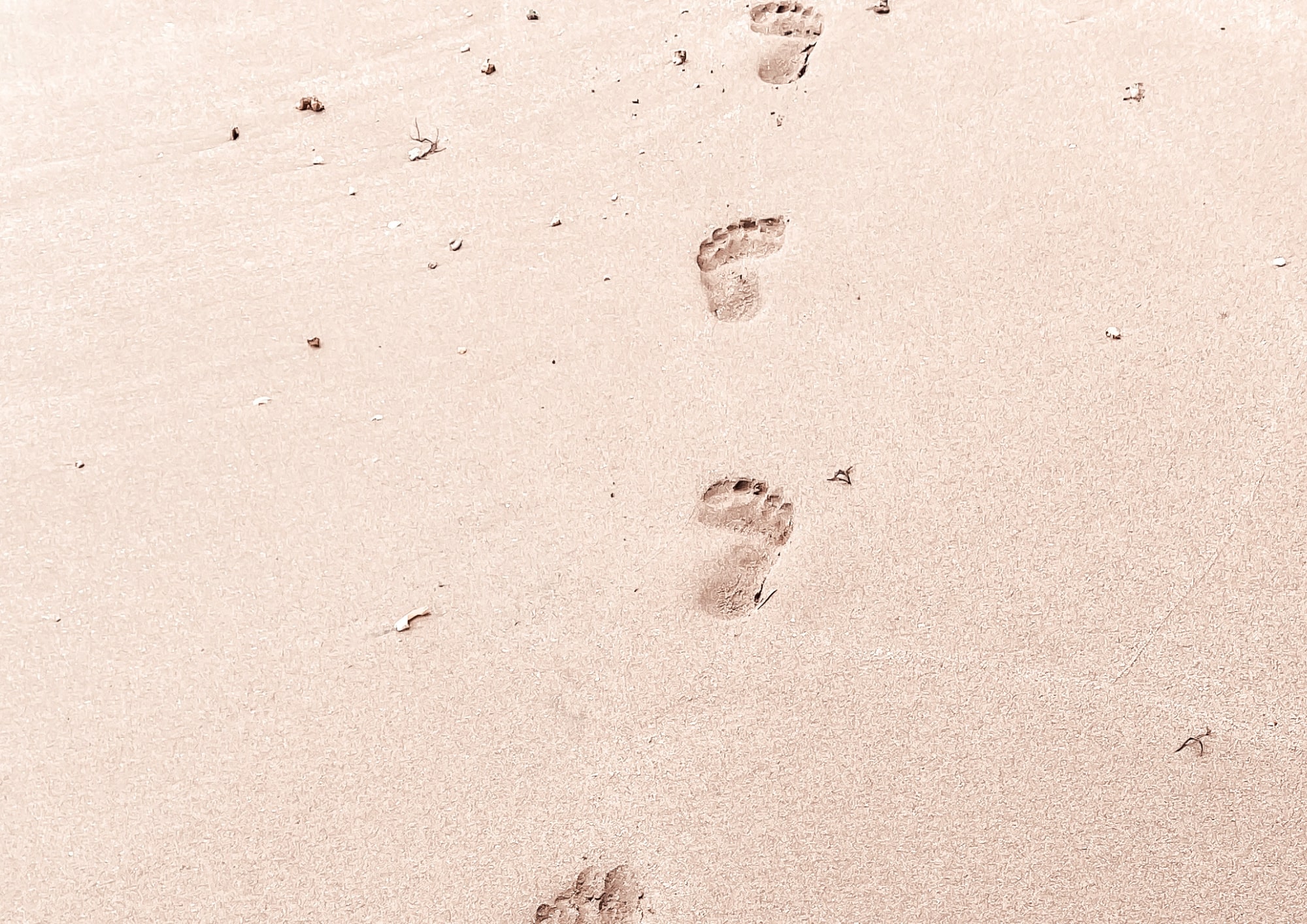 Warum regelmäßige Fußbehandlungen so wichtig für die Gesundheit sind